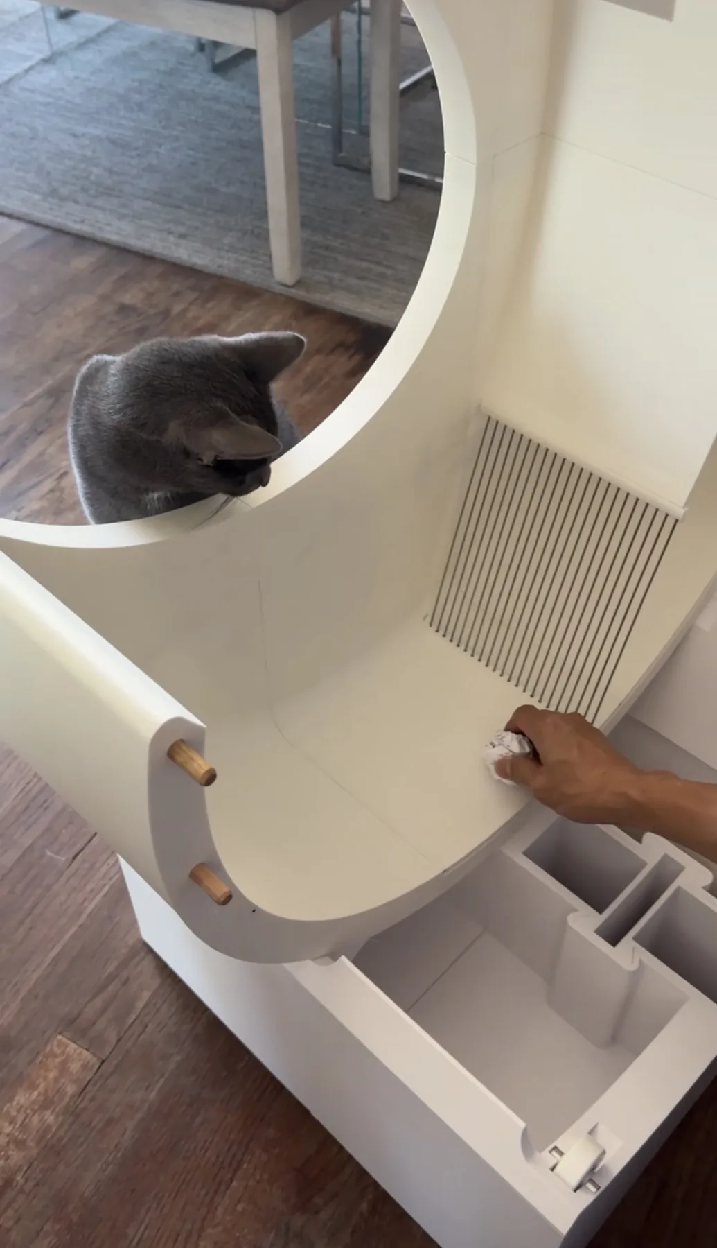 A cat beside an early MoonBox prototype during product testing